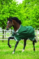 Horseware Rambo Original Turnout lite mit Beinausschnitt green- silver