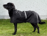 Back on Track Hunde-Regendecke Allwetterdecke mit leichter Füllung 78-86 cm