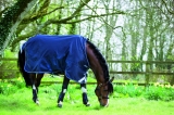 Horseware Amigo Bravo 12 Original lite navy