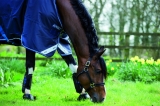 Horseware Amigo Bravo 12 Original lite navy