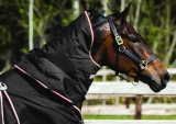 Horseware Rambo Optimo Halsteil ohne Füllung black-orange