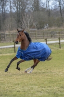 BUCAS Smartex Turnout medium blau
