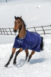 Abverkauf !!! BUCAS Smartex Turnout Extra Winterdecke Blau + Gratis Magic Brush