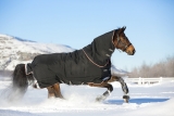 Horseware Rambo Supreme heavy Weidedecke schwarz/ orange