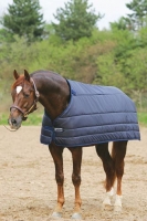 Horseware Rambo Duo Unterdecke 300 g