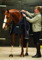 Horseware Rambo  Liner Unterdecke 100 g