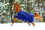 Abverkauf !!! Horseware Rambo Original medium 200 g mit Beinausschnitt 140 cm