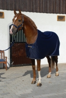 Abverkauf!!! BUCAS Power Prize Cooler Abschwitzdecke Navy/Gold