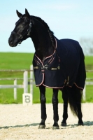 Horseware Rambo Stalldecke Grand Prix Helix lite black