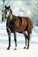 Horseware Rambo WUG heavy Chocolate braun