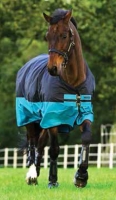 Horseware Amigo Mio Turnout lite black turquoise Weidedecke Regendecke