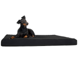 Back on Track Hunde Hundematratze 50 x 60 cm