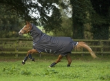 Horseware Amigo Bravo 12 plus medium mit Halsteil Disc Excalibur 3 Bauchgurte