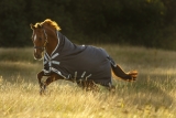 Horseware Amigo Bravo 12 Wug medium excalibur 3 Bauchgurte