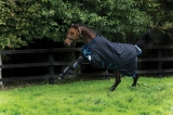 Amigo Bravo 12 lite Disc 100g Regendecke Navy with Navy & Electric Blue