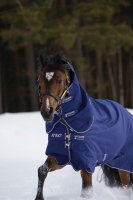 Abverkauf!!! Horseware Amigo Hero 900 D Plus  lite 0g atlantic blue