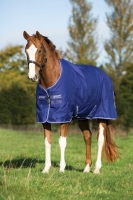 Abverkauf!!! Horseware Amigo Hero 900 D medium 200g atlantic blue