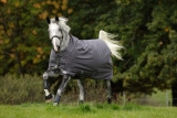 Horseware Amigo Bravo 12 Original lite excalibur