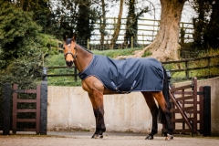 Abverkauf!!! Horseware Amigo Walker navy mit 100 Gramm Füllung