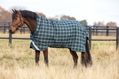 Horseware RHINO  WUG 100g lite Regendecke hunter check