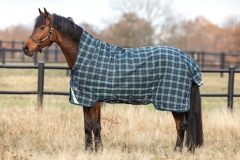 Horseware RHINO  WUG 250g medium VARI- LAYER Regendecke hunter check