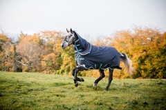 Horseware Amigo Bravo 12 plus medium mit Halsteil navy/ aqua