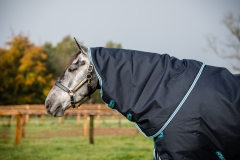Horseware Amigo Bravo 12 plus medium mit Halsteil navy/ aqua