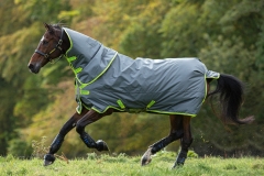 Horseware Amigo Hero 900 D Plus Disc lite 100g grey/ lime