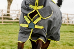 Preis Hammer!!! Horseware Amigo Hero 900 D Plus Disc lite 100g grey/ lime 125