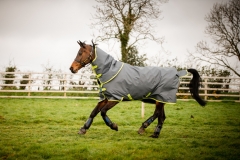 Preis Hammer!!! Horseware Amigo Hero 900 D Plus Disc lite 100g grey/ lime 125