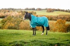 Horseware Amigo Bravo 12 Wug medium storm green