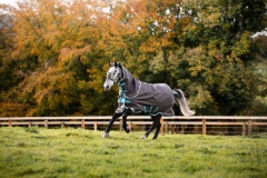 Abverkauf!!! Horseware Amigo Bravo 12 plus medium mit Halsteil Disc Excalibur - Aqua