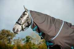 Horseware Amigo Bravo 12 plus medium mit Halsteil Disc Excalibur - Aqua