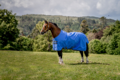 Abverkauf!!! Horseware Amigo Hero 600D Ripstop lite 0g blue/navy