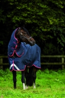 Horseware Amigo Bravo 12 plus medium mit Halsteil navy 2 Bauchgurte