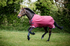 Horseware Rambo Original Turnout lite mit Beinausschnitt burgundy EINZELSTÜCK 160 cm