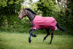 Horseware Rambo Original Turnout lite mit Beinausschnitt burgundy