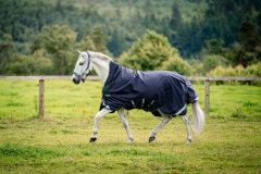Horseware Rambo WUG lite 50g Navy/Hunter Green & Silver