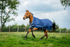 Horseware RHINO  WUG 100g lite Regendecke Navy/Titanium Grey