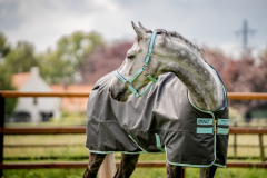Abverkauf!!! Horseware Amigo Hero 600D Ripstop lite 50g shadow