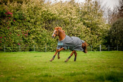 Abverkauf!!! Horseware Amigo Hero 600D Ripstop lite 50g shadow