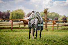 Abverkauf!!! Horseware Amigo Hero 600D Ripstop lite 50g shadow