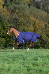 Bucas Atlantic Exclusive light wine navy inkl Halsteil