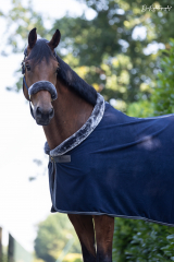 BUCAS Show-Line Fleece 400g Fleece Abschwitzdecke navy