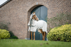 Horseware Rambo Hoody (Nachfolge Model Sweetitch Hoody) chalk/ hunter