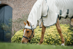 Horseware Rambo Hoody (Nachfolge Model Sweetitch Hoody) chalk/ hunter