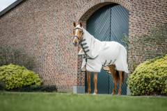 Horseware Rambo Hoody Pony (Nachfolge Model Sweetitch Hoody) chalk