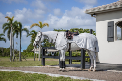 Horseware Amigo Flyrider Fliegenausreitdecke silver/ titan