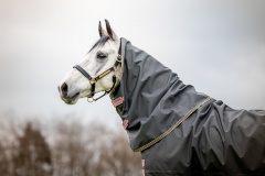 Abverkauf!!! Horseware Amigo Hero 600D Ripstop lite 0g Plus shadow
