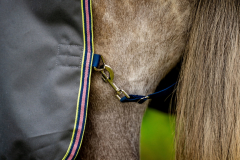 Ausverkauf !!! Horseware Amigo Bravo 12 Original lite shadow